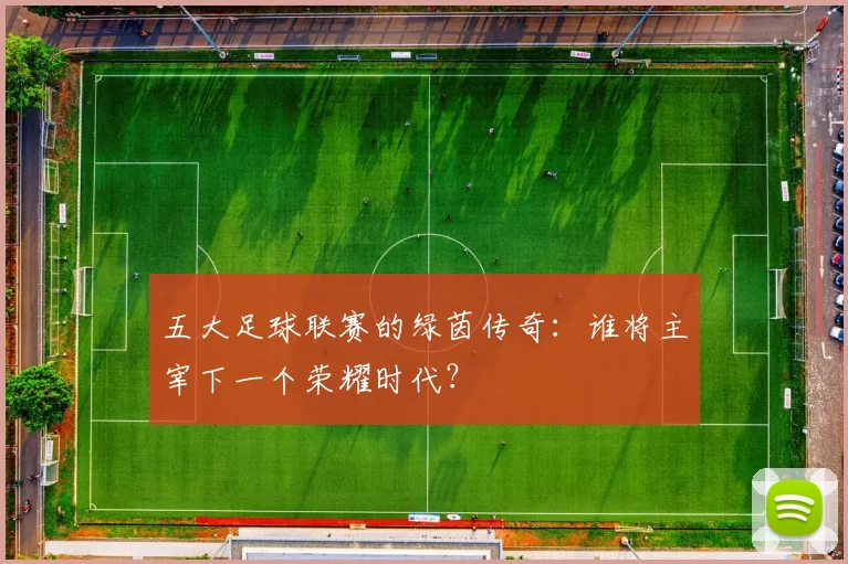 五大足球联赛的绿茵传奇:谁将主宰下一个荣耀时代?