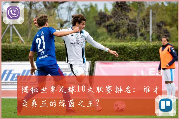 揭秘世界足球10大联赛排名：谁才是真正的绿茵之王？
